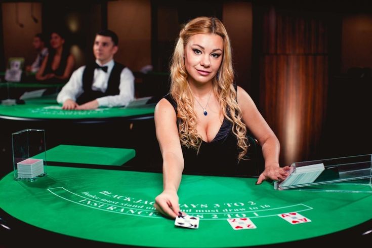 Elephant King Live Betting
